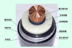 探索 220kv 电缆的奥秘